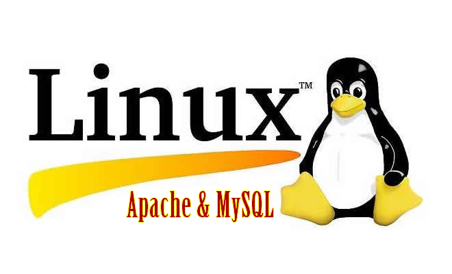 Linux开机启动apache和mysql